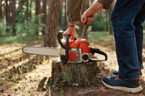 Tree Removal Services Tree Removal Services